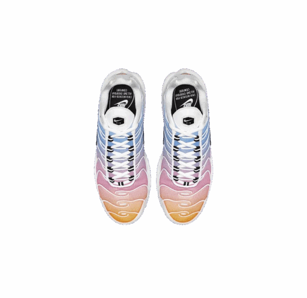 Nike Air Max Plus TN Plus Summer Gradient – Image 3