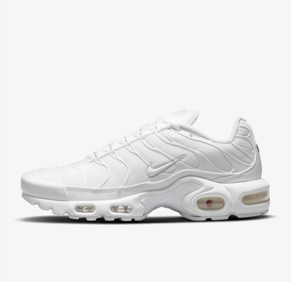 Nike Air Max Plus Tn Full White 6