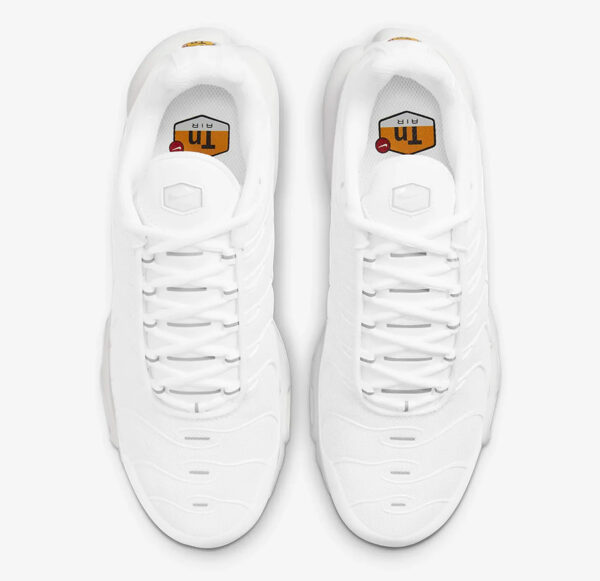 Nike Air Max Plus Tn Full White 6