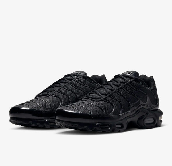 Nike Air Max Plus Tn Full black