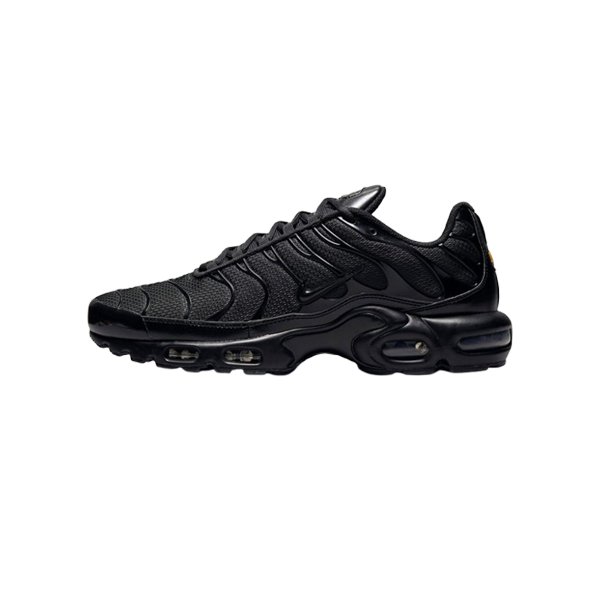 Nike Air Max Plus TN Full Black